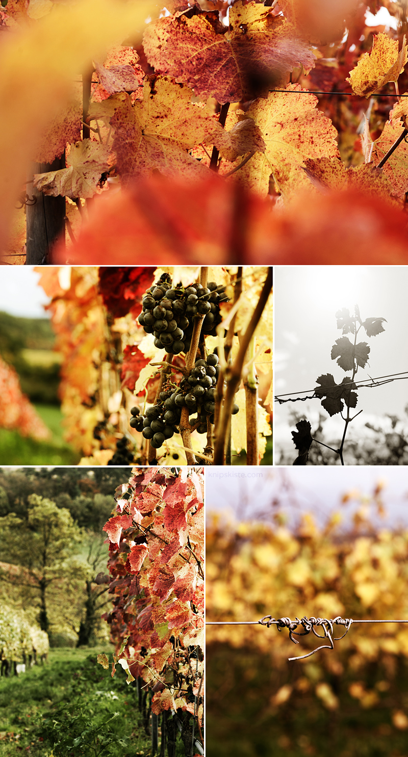 collage